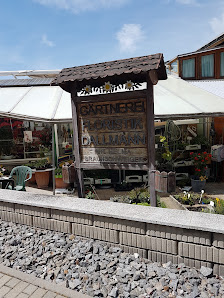 Dallmann Gärtnerei