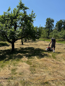MSM Garten- und Landschaftspflege