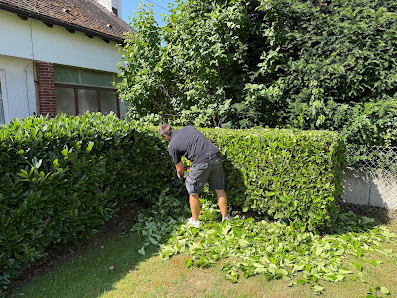 MSM Garten- und Landschaftspflege