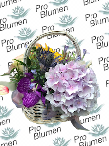 ProBlumen