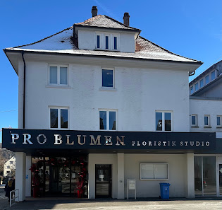 ProBlumen