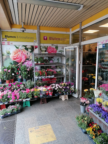 Blütenreich Blumen & Grünpflanzen