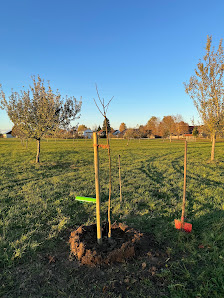 Fachwart für Obst- & Gartenbau Achim Brüchle