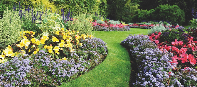 NAPUR Garten- und Landschaftsbau