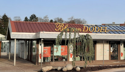 Dodel Floristik & Gärtnerei