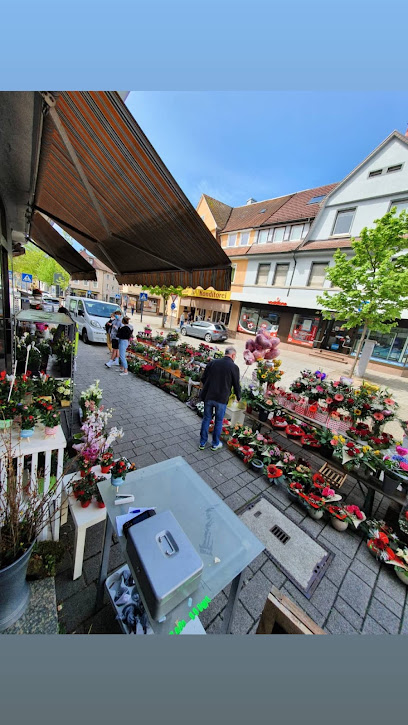 Cataleya Der Blumenladen