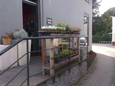 Blumen Bräumer