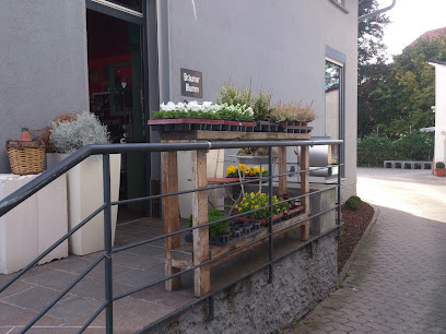 Blumen Bräumer