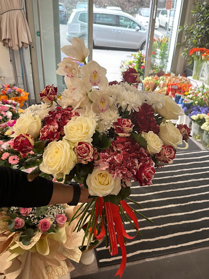 Phan-Ngo Blumen&Pflanzen