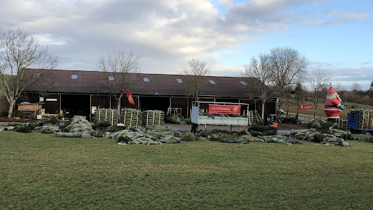 Tannengrün Schaible - Weihnachtsbäume 🎄, Schnittgrün, Kranzbinderei