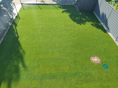 IMMERGRÜN Gartengestaltung Benjamin Stegmüller