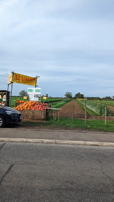 Blumen selber schneiden / Kürbisverkauf