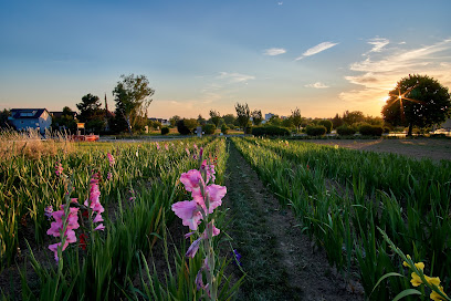 Blumengeschäft