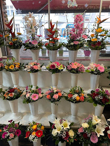 Blumen&Pflanzen Alt-Tegel