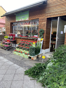 Blumen&Pflanzen Alt-Tegel