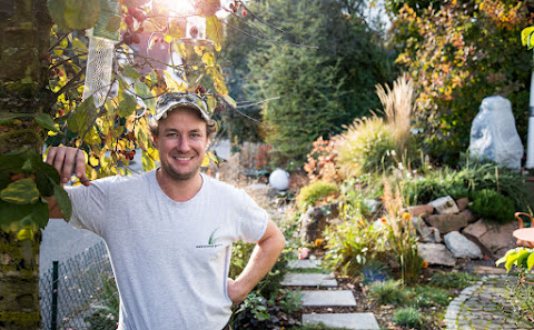 Gartengestaltung Hollwegs