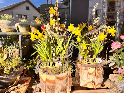 Blumen in Rot