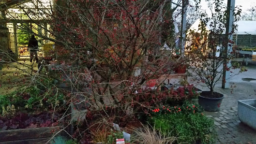 Müller Lebensraum Garten