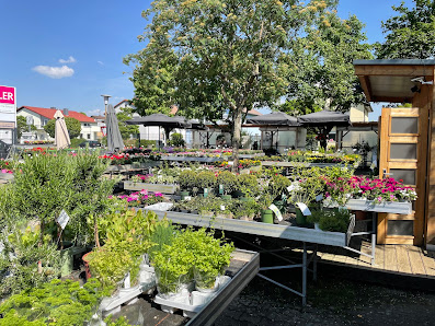 Blütenpracht by Gärtnerei Lützel
