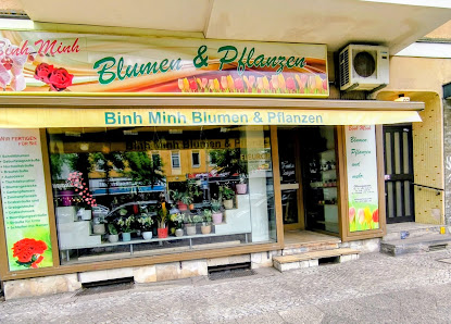 Binh Minh Blumen und Pflanzen