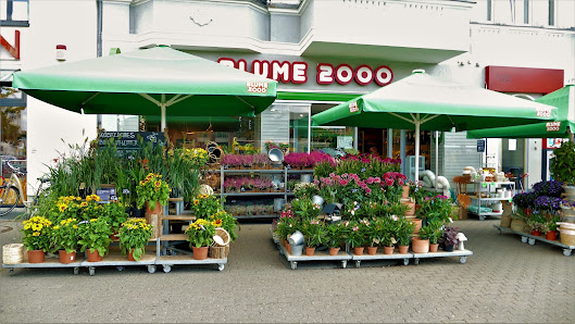BLUME2000 Berlin Tegel