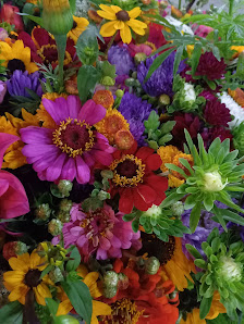 Blumenhaus Geider