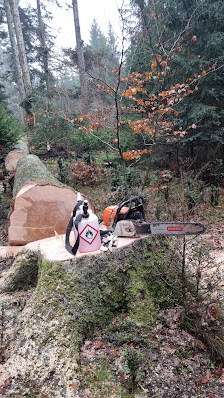 Baum-& Landschaftspflege Buhl