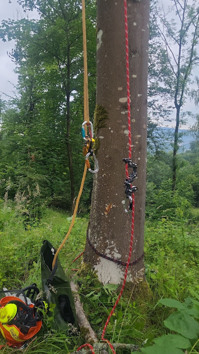 Buchen (Odenwald)