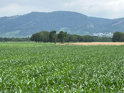 Landschaftsgestalter