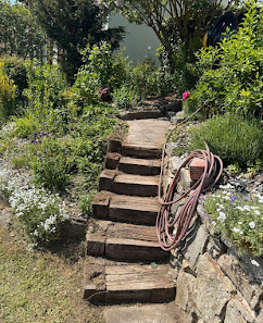 Grün und Sauber Gartenpflege