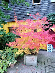 Baumschule/Gartenservice Weber