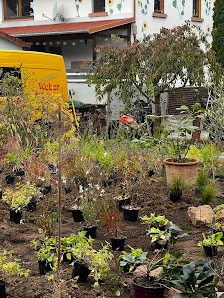 Baumschule/Gartenservice Weber