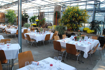 funk blumenhandwerk GbR | Bad Friedrichshall