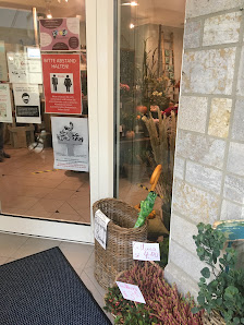 Blumen Galerie Myleen