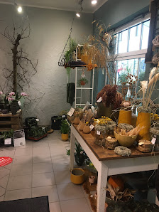 Blumen Galerie Myleen