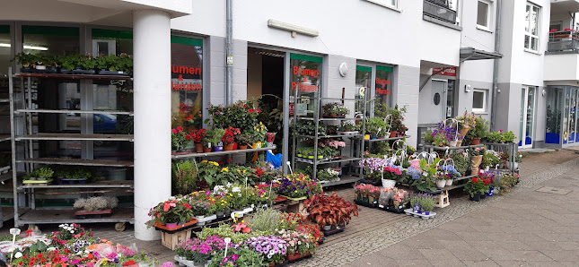 Blumen und Pflanzen