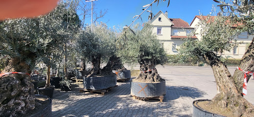 Öhringen