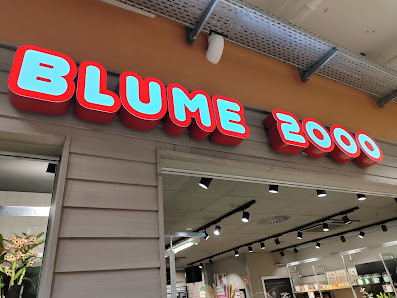BLUME2000 im Kaufland Neckarsulm