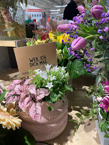 BLUME2000 im Kaufland Neckarsulm