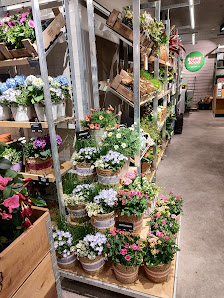 BLUME2000 im Kaufland Neckarsulm