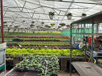 Essinger & Lang / Pflanzen- & Blumenhandel / Floristenbedarf
