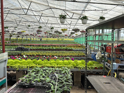 Essinger & Lang / Pflanzen- & Blumenhandel / Floristenbedarf