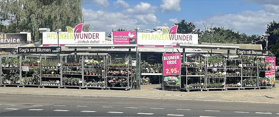 PflanzenWunder