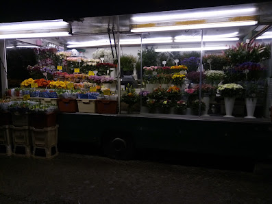 Blumen Eckert