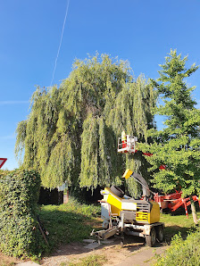 Gartenpflege Lang