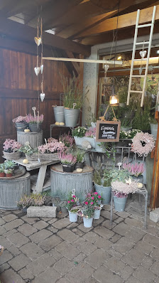 Blumenfreuden Heide Laxen