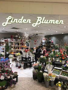 Linden Blumen