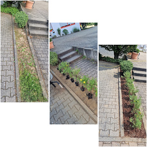 Haus- & Gartenservice K.Bachels