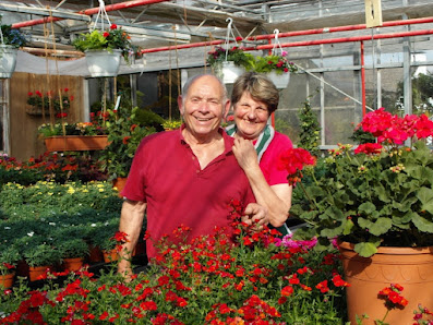 Blumen und Gärtnerei Michelfelder | Blumenladen in Ilsfeld & Umgebung