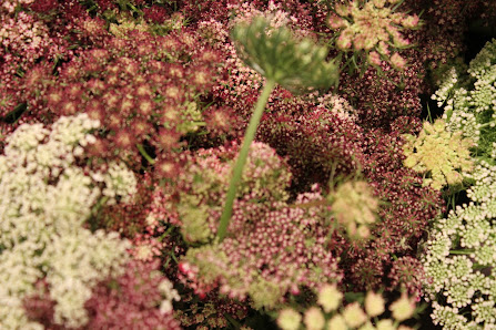 Stephis Blumenwerkstatt